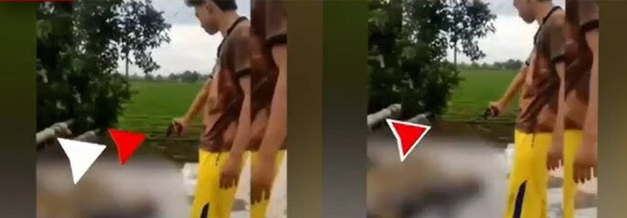 मेरठ में सनसनीखेज हत्याकांड का लाइव वीडियो किया जारी