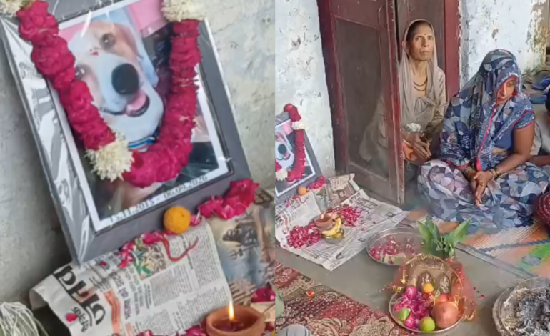 मेरठ में पालतू कुत्ते की मौत के बाद मालिक ने इंसानों की तरह की तेरहवीं