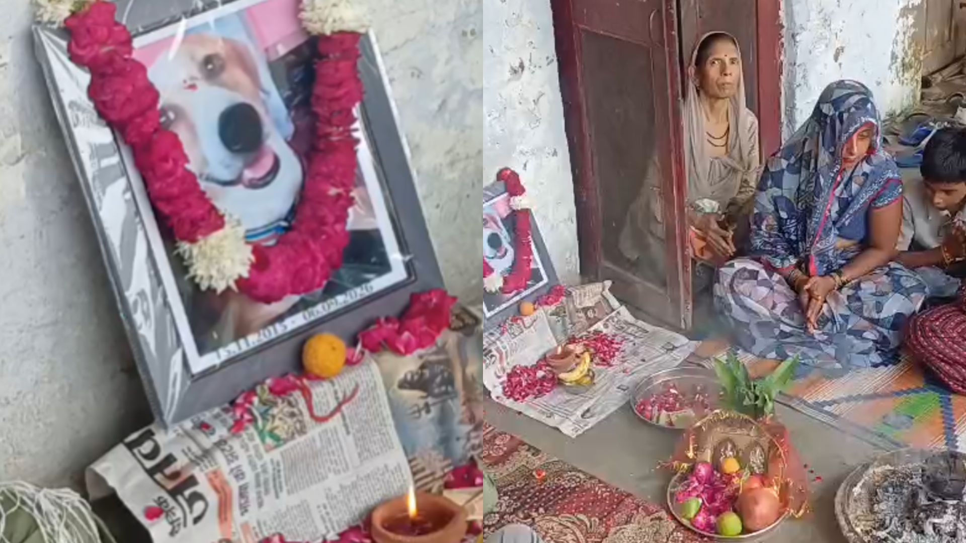 मेरठ में पालतू कुत्ते की मौत के बाद मालिक ने इंसानों की तरह की तेरहवीं मेरठ में पालतू कुत्ते की मौत के बाद मालिक ने इंसानों की तरह की तेरहवीं